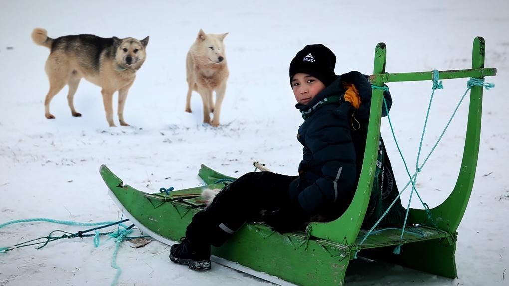 Min klasse i Grønland 1:10 - Hundeslæde