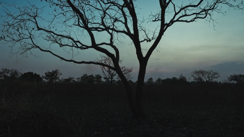Theatre of Violence 00:29:42.50 - 00:31:31.13