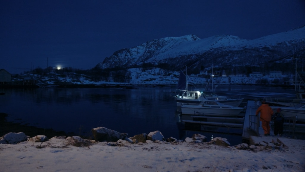 Tungeskærerne klip 3