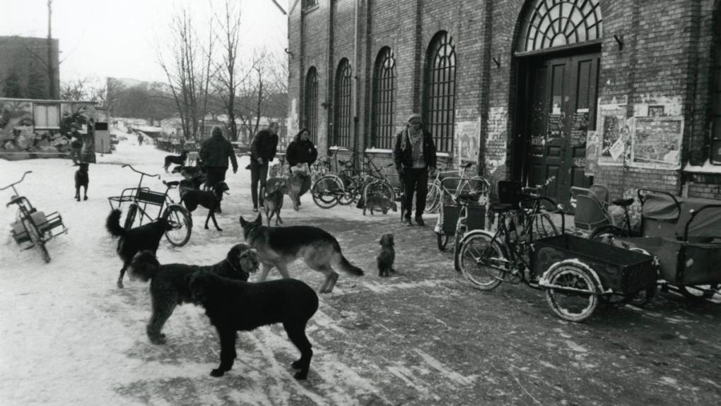 Christiania, du har mit hjerte
